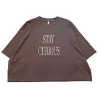 DignteCollier ビッグロゴオーバーTシャツ-ブラウン