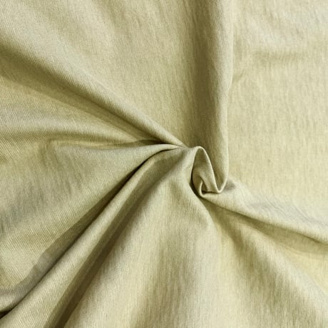 RISLEY    ビッグロゴTシャツ     -カーキ