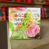 【キューブ】果実のハーモニー