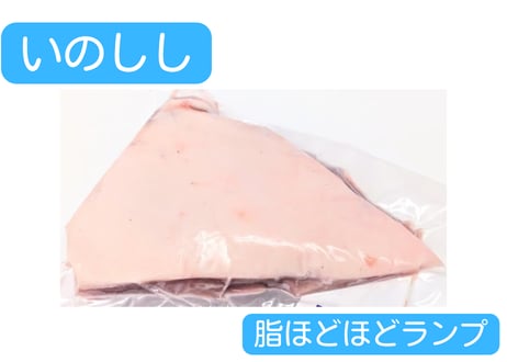 野生の猪肉　脂ほどほどモモ（ランプ）【冷凍】