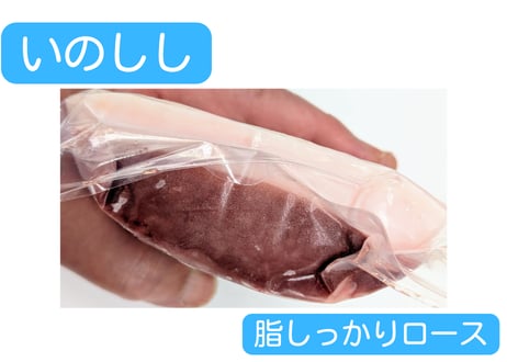 野生の猪肉　脂しっかりロース【冷凍】