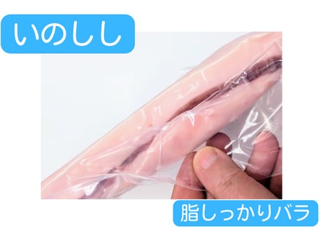 野生の猪肉　脂しっかりバラ【冷凍】