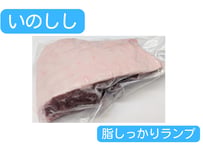 野生の猪肉　脂しっかりランプ【冷凍】