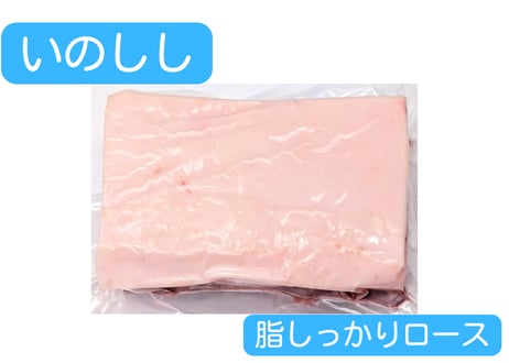 野生の猪肉　脂しっかりロース【冷凍】