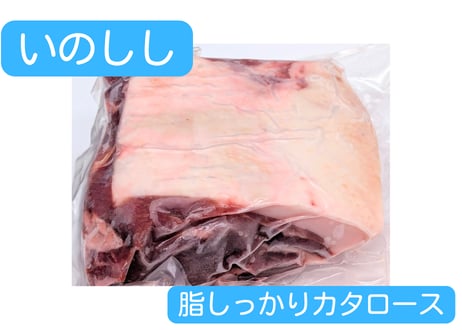 野生の猪肉　脂しっかりカタロース【冷凍】