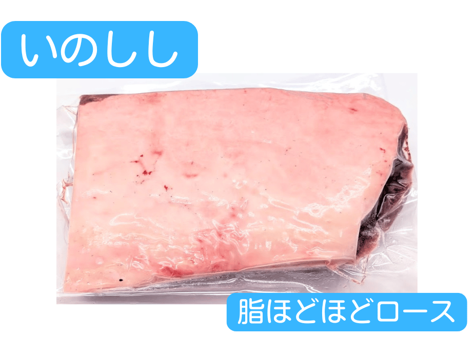 654f521b73ce6e13245d0348