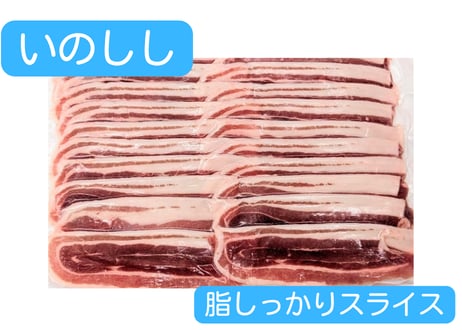 野生の猪肉　脂しっかりスライス３００g【冷凍】