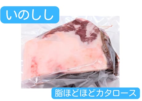 野生の猪肉　脂ほどほどカタロース【冷凍】