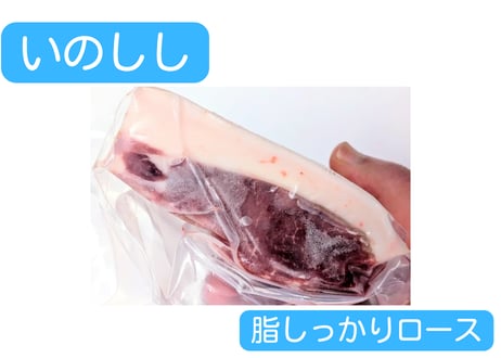 野生の猪肉　脂しっかりロース【冷凍】