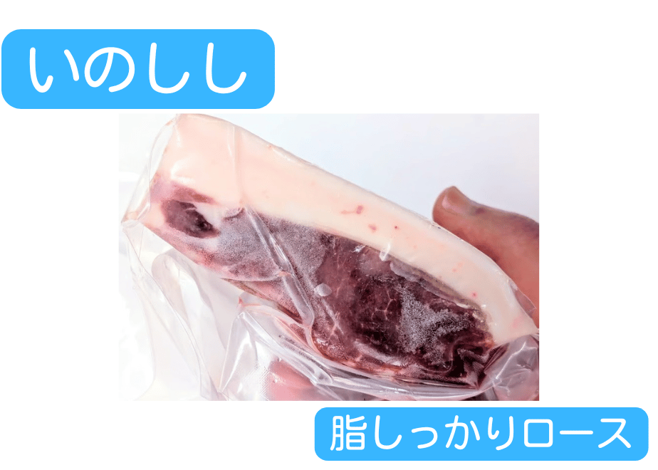 657e7dfa3fd2e1002b69fc4e