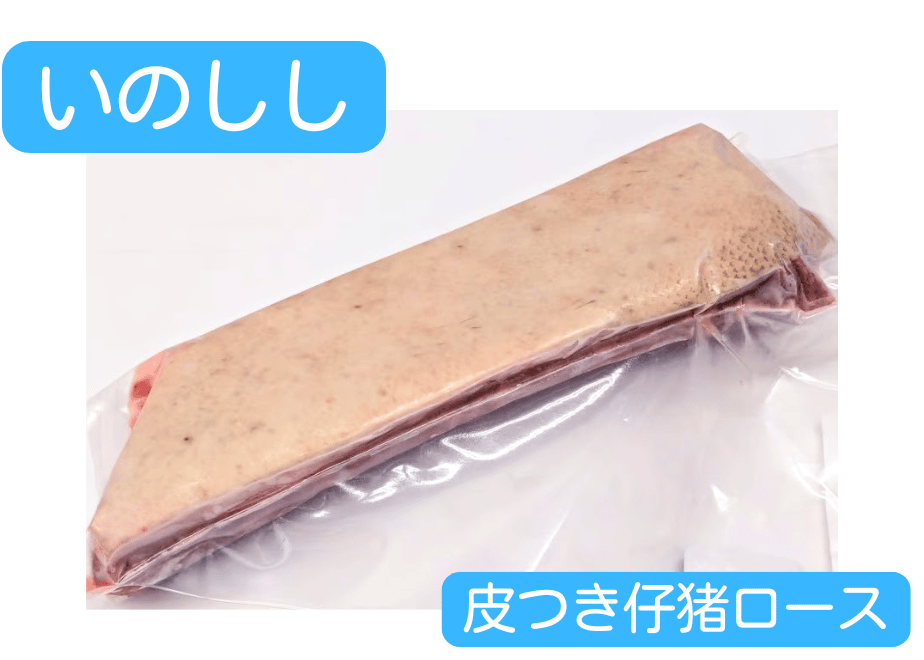69c8f1ebb2c71db9f1957562
