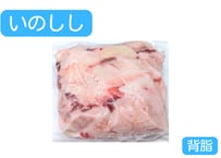 【お一人様１つ限り】野生の猪肉　背脂500g【冷凍】