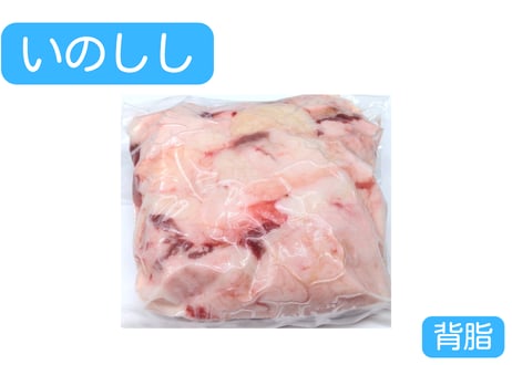【お一人様１つ限り】野生の猪肉　背脂500g【冷凍】
