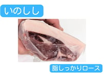 野生の猪肉　脂しっかりロース【冷凍】
