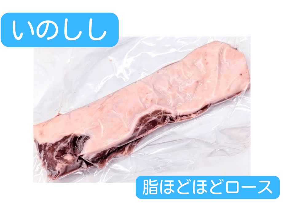 654f521b73ce6e13245d0348