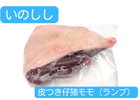 野生の猪肉　皮つき仔猪ブロック各種【冷凍】
