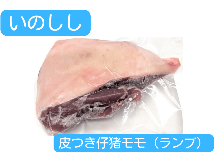 69c8f1ebb2c71db9f1957562