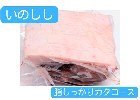 野生の猪肉　脂しっかりカタロース【冷凍】