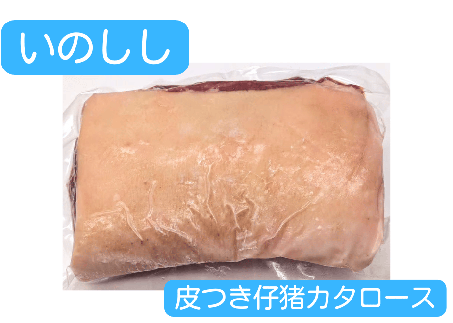 69c8f1ebb2c71db9f1957562