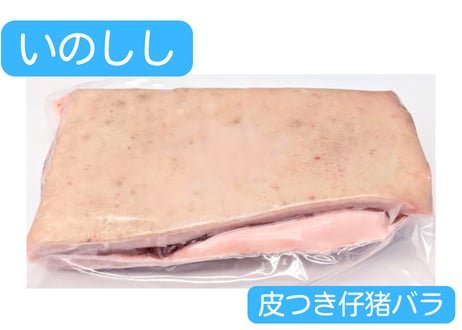 野生の猪肉　皮つき仔猪ブロック各種【冷凍】