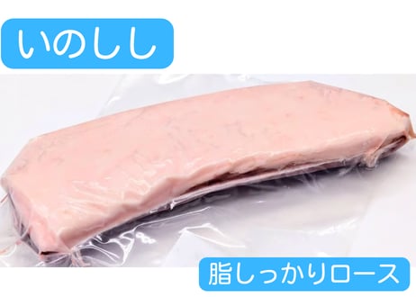 野生の猪肉　脂しっかりロース【冷凍】