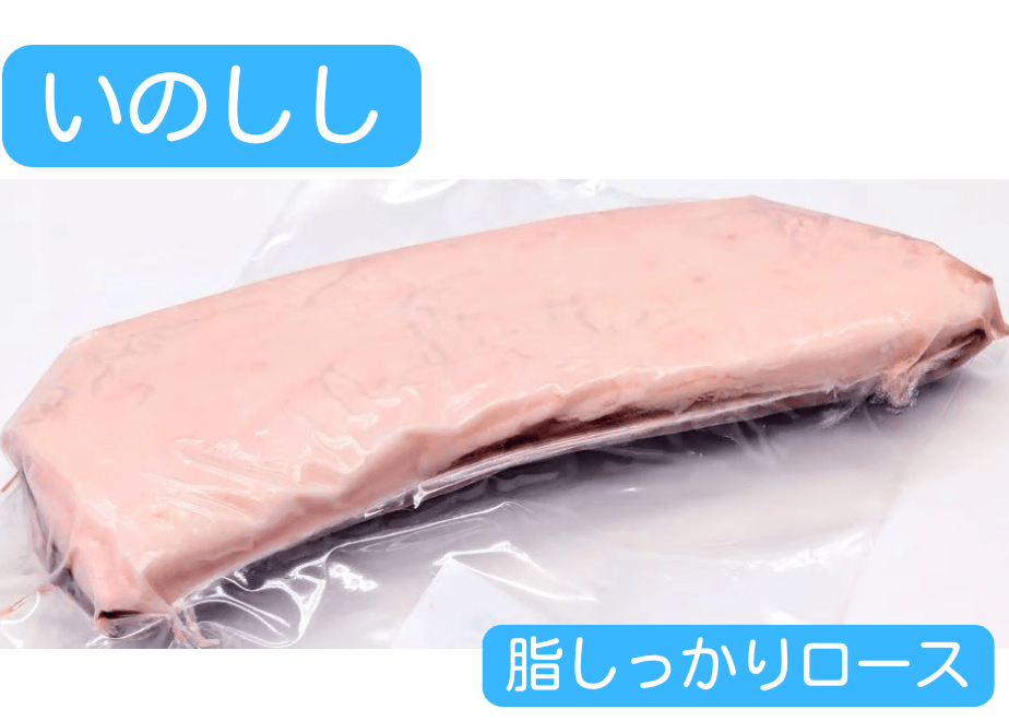 657e7dfa3fd2e1002b69fc4e
