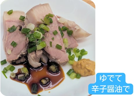 野生の猪肉　皮つき仔猪ブロック各種【冷凍】