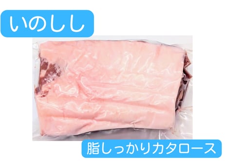野生の猪肉　脂しっかりカタロース【冷凍】