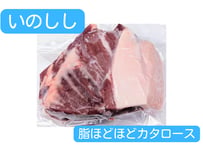 野生の猪肉　脂ほどほどカタロース【冷凍】