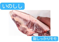 野生の猪肉　脂しっかりモモ【冷凍】