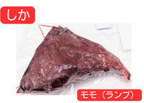 野生の鹿肉　モモ（ランプ）【冷凍】