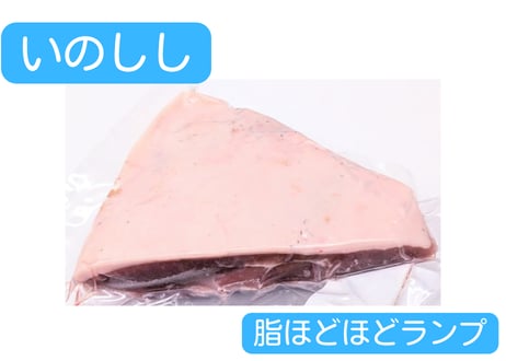 野生の猪肉　脂ほどほどモモ（ランプ）【冷凍】