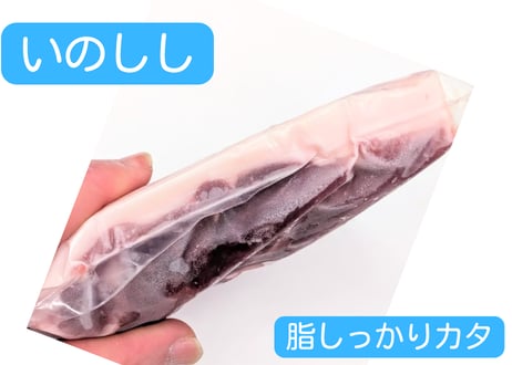 野生の猪肉　脂しっかりカタ【冷凍】