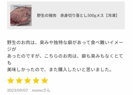 野生の猪肉　赤身ブロック各種【冷凍】