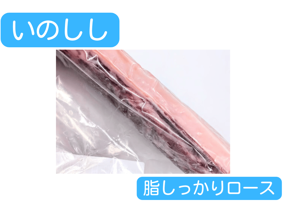 657e7dfa3fd2e1002b69fc4e