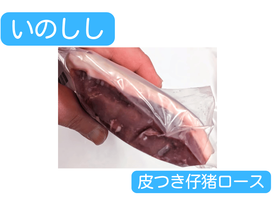 69c8f1ebb2c71db9f1957562