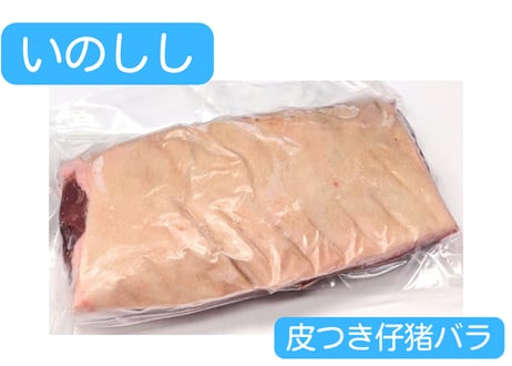 野生の猪肉　皮つき仔猪ブロック各種【冷凍】