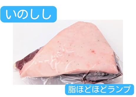 野生の猪肉　脂ほどほどモモ（ランプ）【冷凍】