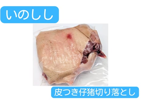 野生の猪肉　皮つき仔猪ブロック各種【冷凍】