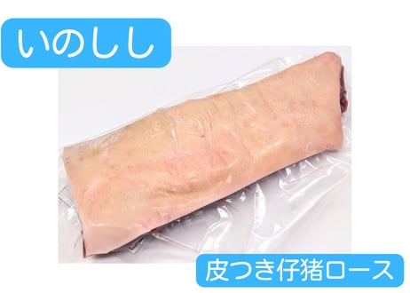 野生の猪肉　皮つき仔猪ブロック各種【冷凍】