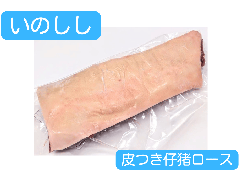 69c8f1ebb2c71db9f1957562