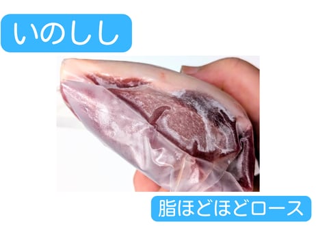 野生の猪肉　脂ほどほどロース【冷凍】