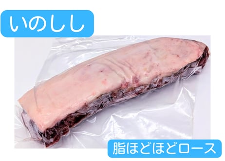 野生の猪肉　脂ほどほどロース【冷凍】
