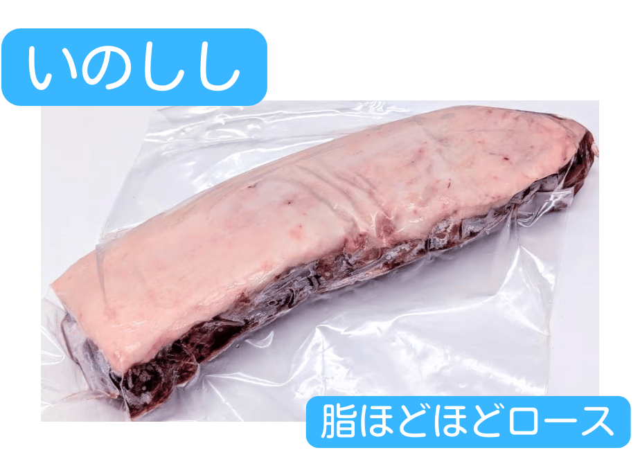 654f521b73ce6e13245d0348