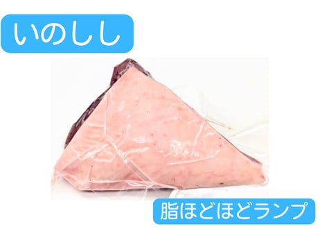 野生の猪肉　脂ほどほどモモ（ランプ）【冷凍】