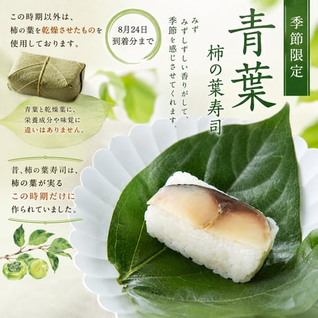【期間限定：8月24日到着分まで】鯖（青葉）