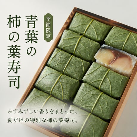 【期間限定：8月24日到着分まで】鯖（青葉）