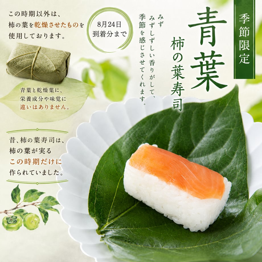 66514a27b0934b3f17d8bca2