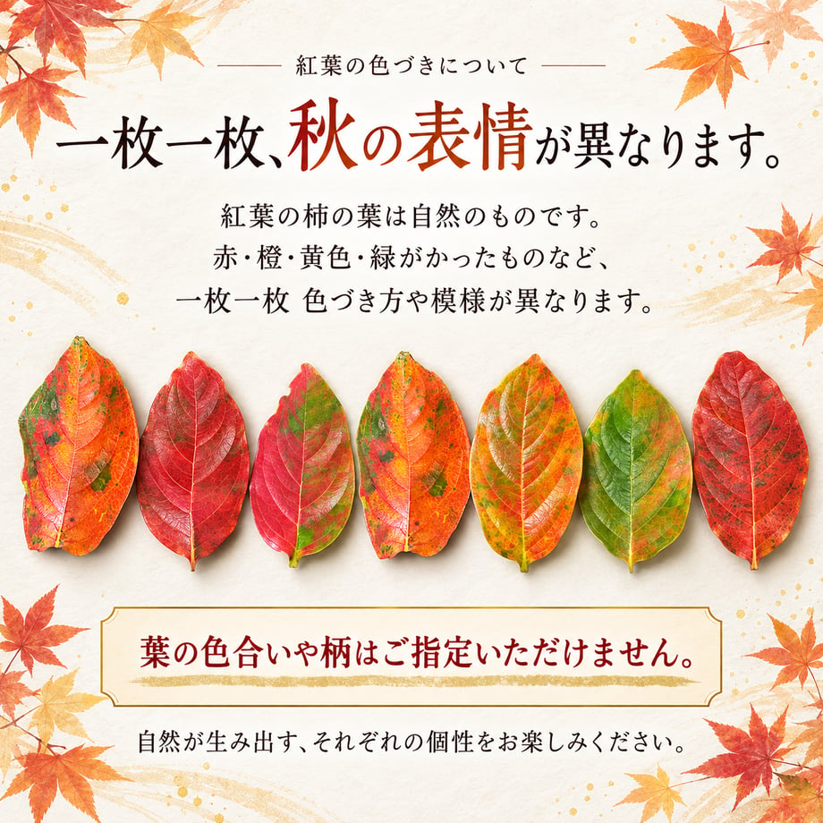 6ac4686a65e08d6d215a63db