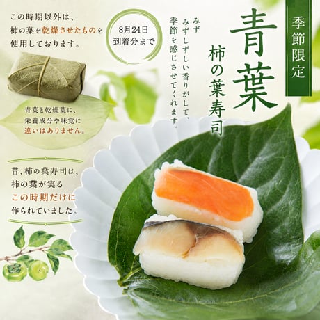 【期間限定：8月24日到着分まで】鯖・鮭（青葉）